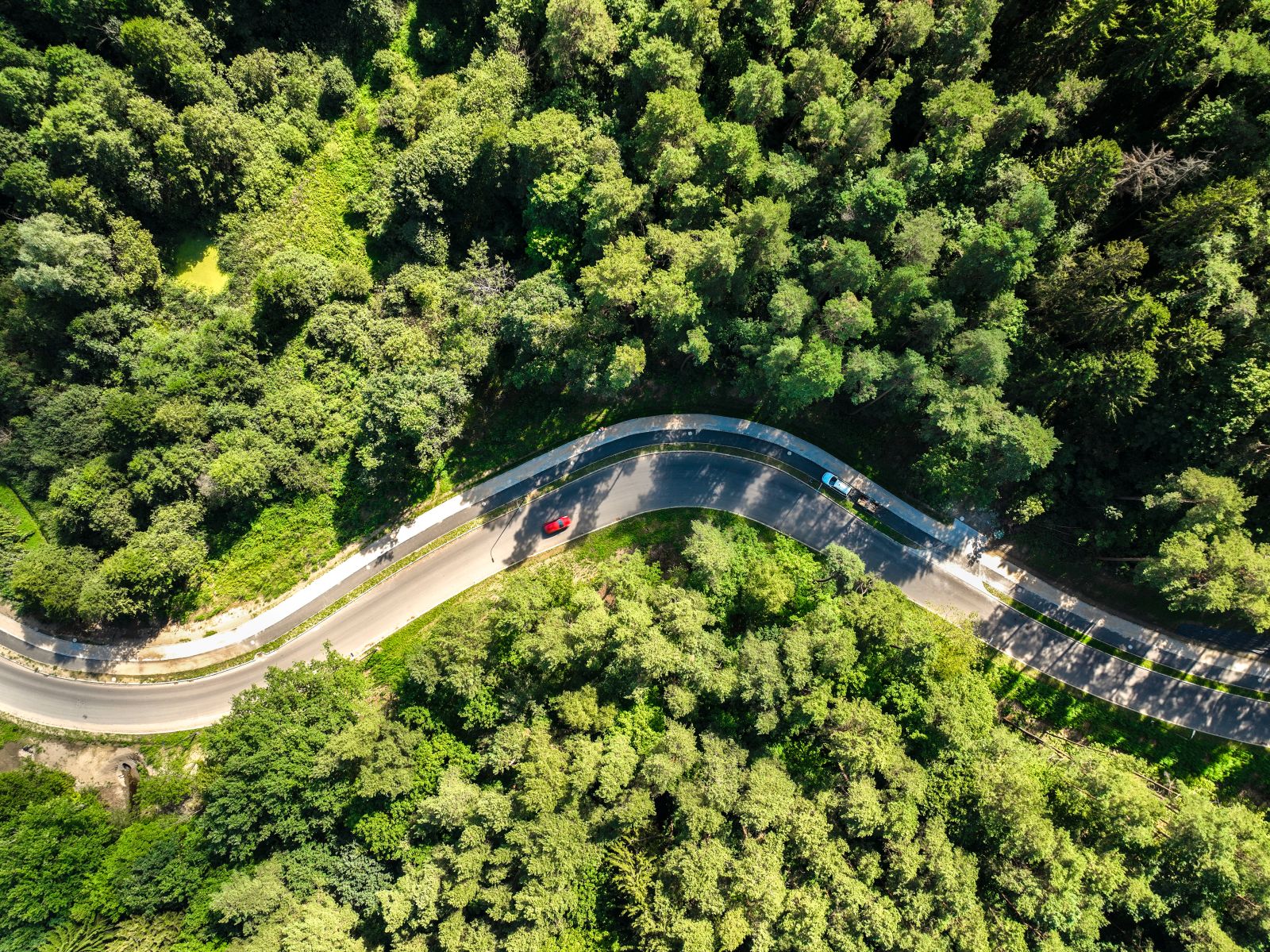 Tydzień pełen wydarzeń